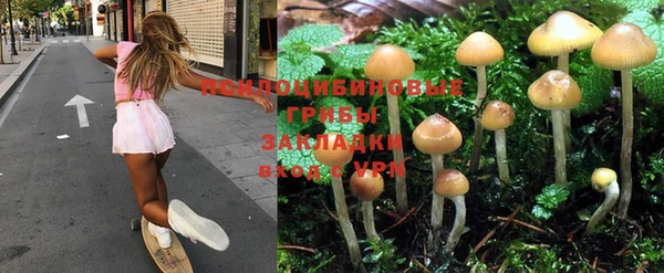метадон Горнозаводск