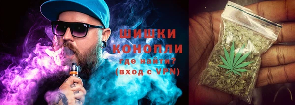ALPHA PVP Горно-Алтайск